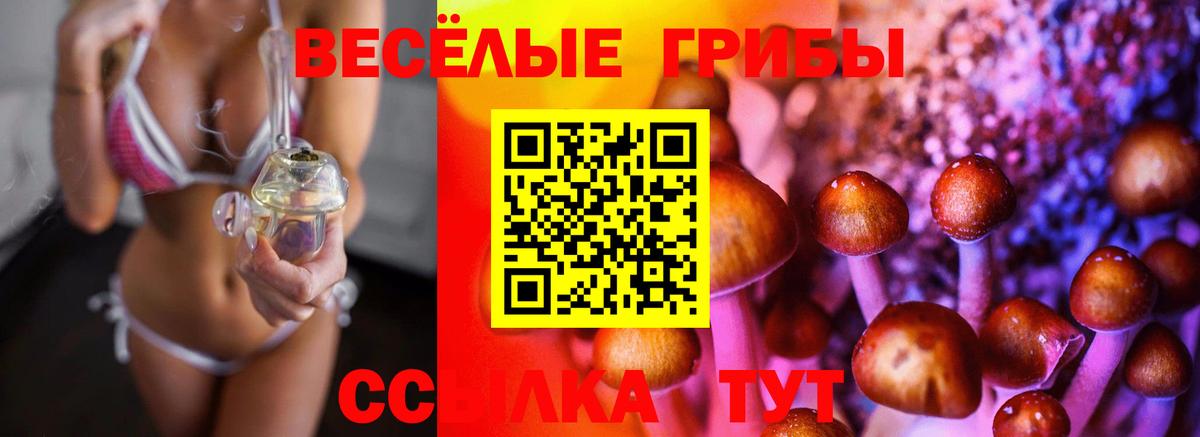 Галлюциногенные грибы мухоморы Волхов
